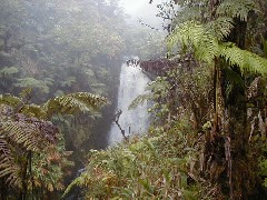 Trips Hawaii Waterfalls tour