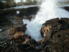 Hawaii Trips ocean