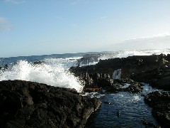 Hawaii Trips ocean beach;