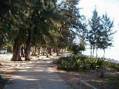 Micronesia Saipan Trips ocean; beach