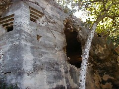 Micronesia Saipan Trips