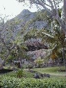 Micronesia Saipan Trips