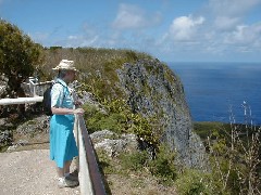 Dan Dorrough; Saipan Trips