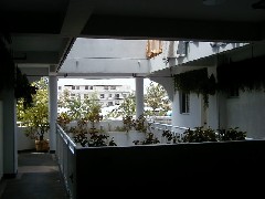 Saipan Trips capital hotel