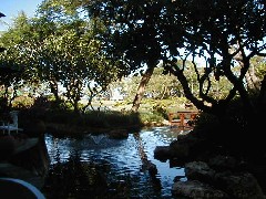 Micronesia Saipan Trips