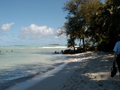 Micronesia Saipan Trips Hyatt Ocean Beach
