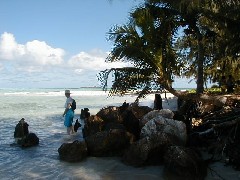 Dan Dorrough; Micronesia Saipan Trips Hyatt Ocean Beach