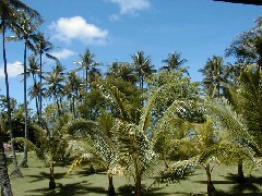 Chuuk Micronesia ocean beach;
