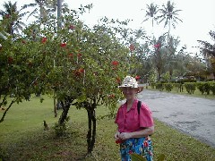 Ruth Bennett McDougal Dorrough; Chuuk Micronesia Trips