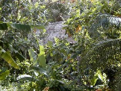Micronesia Pohnpei Trips Village