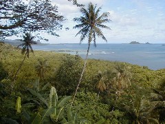 Micronesia Pohnpei Trips Village ocean beach;