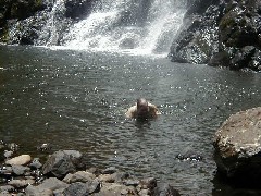 Dan Dorrough; Micronesia Pohnpei Trips waterfall