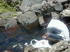 Micronesia Pohnpei Trips guide allen