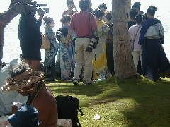 Hawaii Trips