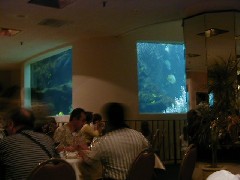 Hawaii Trips Aquarium