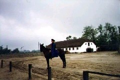 hungarian horse ranch hungary