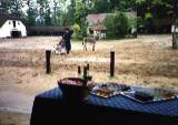 Trips Hungary horse