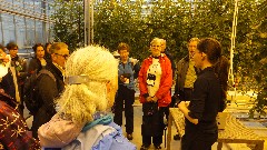 Iceland; - Greenhouse; Asifa Kanji; Ruth Bennett McDougal Dorrough; Penny Ingman; Judith Christman; Steve Sickels; Greenhouse; Reykholt; Iceland, IS