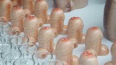 Reykjavik- Penis Museum, IS