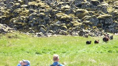 Stykkisholmur, Iceland, IS