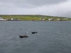 Zodiac Boats; Siglufjorour Iceland, IS
