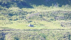 Iceland; Seydisfjordur