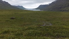 Iceland; Seydisfjordur