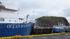 Iceland; Ocean Diamond Cruise Ship