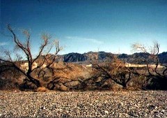 arizona