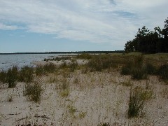 Sturgeon Bay Beach Michigan 2005 Trips