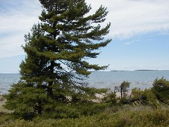 Sturgeon Bay Beach Michigan 2005 Trips
