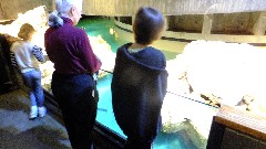 Ruth Dorrough; Jacob Grant Wheeler; Aquarium Boston, MA