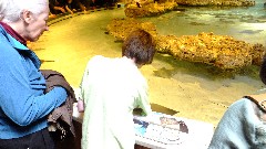 Ruth Dorrough; Jacob Grant Wheeler; Aquarium Boston, MA