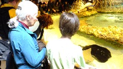 Ruth Dorrough; Jacob Grant Wheeler; Aquarium Boston, MA