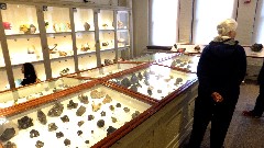 Ruth Dorrough; Geology Room; Peabody Museum at Harvard Boston, MA