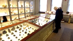Ruth Dorrough; Peabody Museum at Harvard Boston, MA