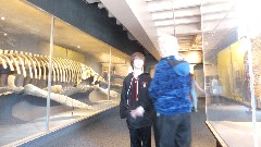 Jacob Grant Wheeler; Ruth Dorrough; Peabody Museum at Harvard Boston, MA
