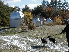 Ruth Dorrough; Mac Wyatt dog; Trips New England Jacobs Christening