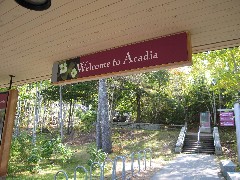 Acadia
