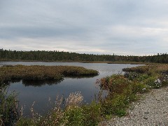 Acadia