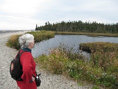 Ruth Bennett McDougal Dorrough; Acadia; pond on Seawall Road