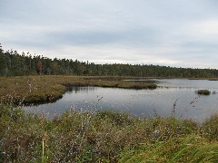 Acadia; pond on Seawall Road