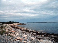 Seawall Road beach near Acadia