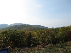 Acadia