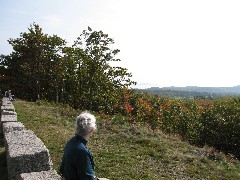 Ruth Bennett McDougal Dorrough; Acadia ; Frenchman Bay