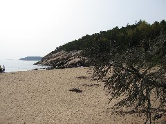 Acadia; Sand beach