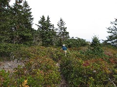 Ruth Bennett McDougal Dorrough; Great Head Trail; Acadia