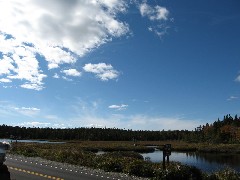Pond on Seawall Road near Acadia