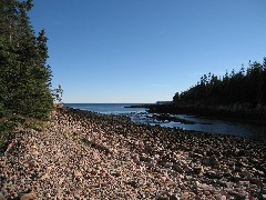 Ship Harbor Nature Trail; Acadia