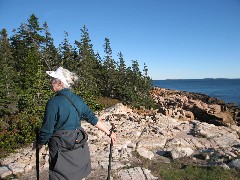 Ruth Bennett McDougal Dorrough; Ship Harbor Nature Trail; Acadia
